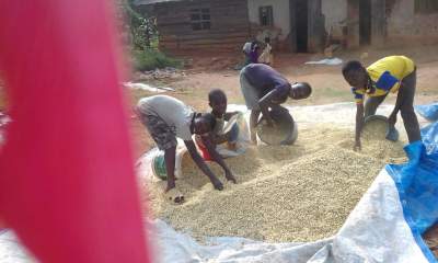 children-working-02