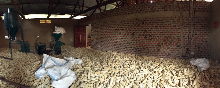 mill-corn-whole