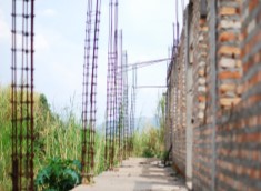 Picture8