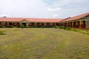 School 05